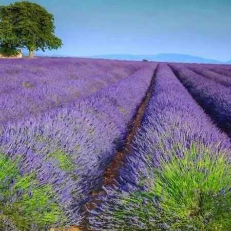 Διαμέρισμα Durance